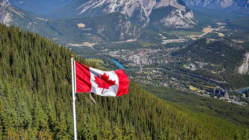 Why You Should Open A Restaurant Franchise Location In Canada